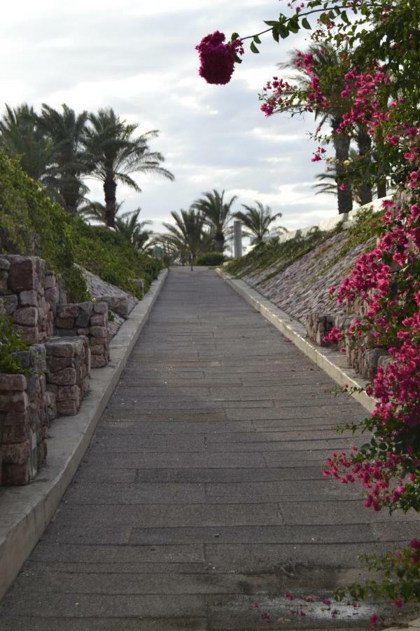 Apartamento Cabo De Gata Retamar  Dış mekan fotoğraf